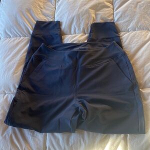 Never worn, Patagonia women's happy hike, joggers